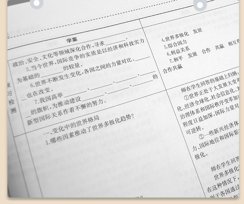 2020鼎尖教案九年级下册道德与法治人教版中学教师课堂教学中学教师用书延边教育出版社鼎尖教案9年级政治下册人教版中国教师智库