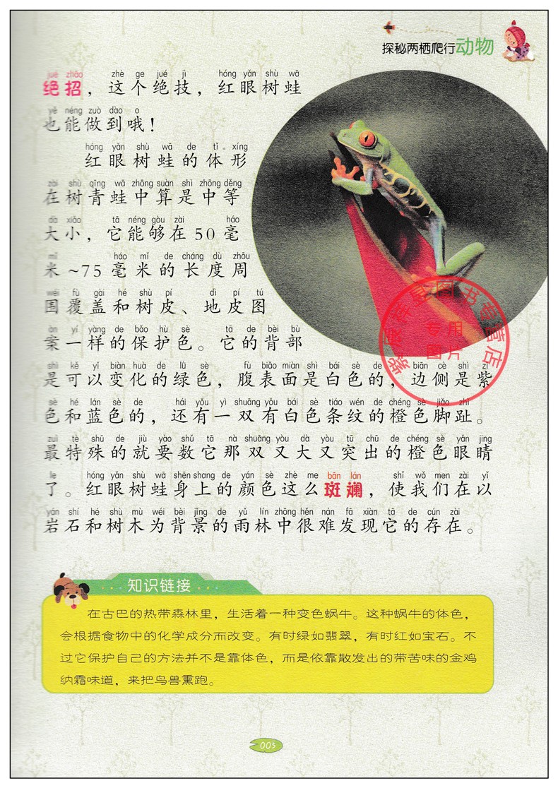 买一送一 正版图书优惠包邮 探秘两栖爬行动物 小蝌蚪彩绘注音版系列  适合小学1到3年级学生阅读语文拼音读物