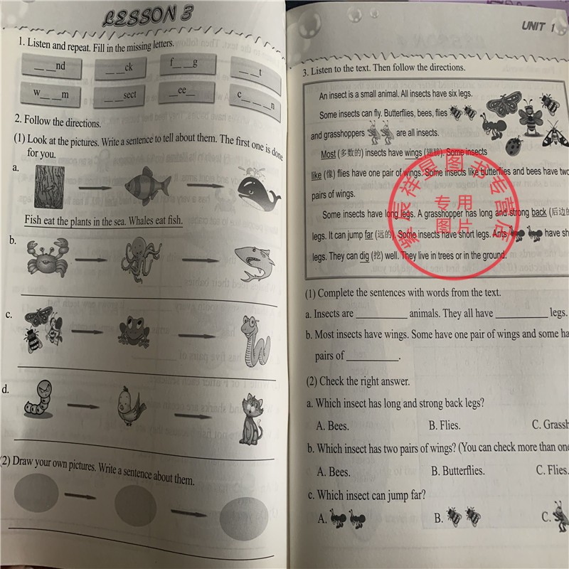 正版现货 英语 清华小学英语五年级上册（课本+活动手册） 一年级起点 义务教育教科书 小学英语教材 清华英语 教材教辅 教学教辅
