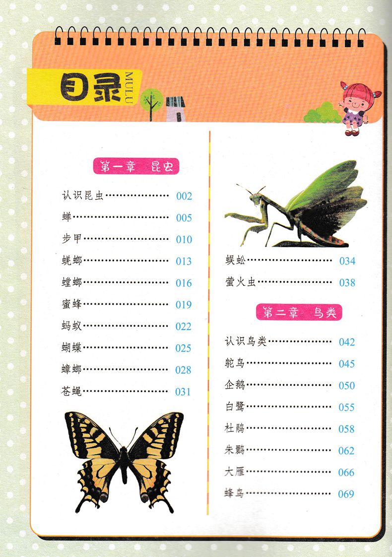 正版图书优惠包邮小蝌蚪彩绘注音版系列动物小百科 适合小学1到3年级学生阅读语文拼音读物买一送一全套三十本选其一