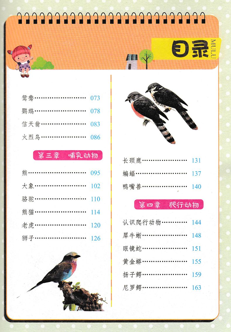 正版图书优惠包邮小蝌蚪彩绘注音版系列动物小百科 适合小学1到3年级学生阅读语文拼音读物买一送一全套三十本选其一
