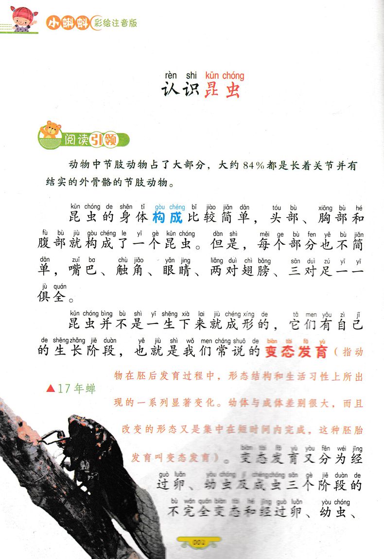 正版图书优惠包邮小蝌蚪彩绘注音版系列动物小百科 适合小学1到3年级学生阅读语文拼音读物买一送一全套三十本选其一