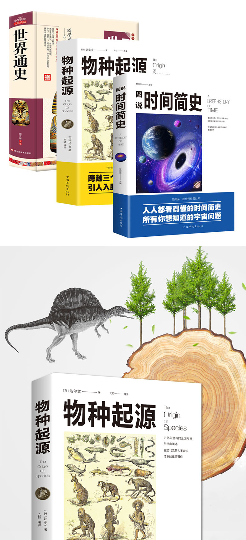 【正版好书包邮】时间简史 物种起源 世界通史（共3册） 科普读物书插图版  自然科学 未来宇宙 人类简史国学经典书籍