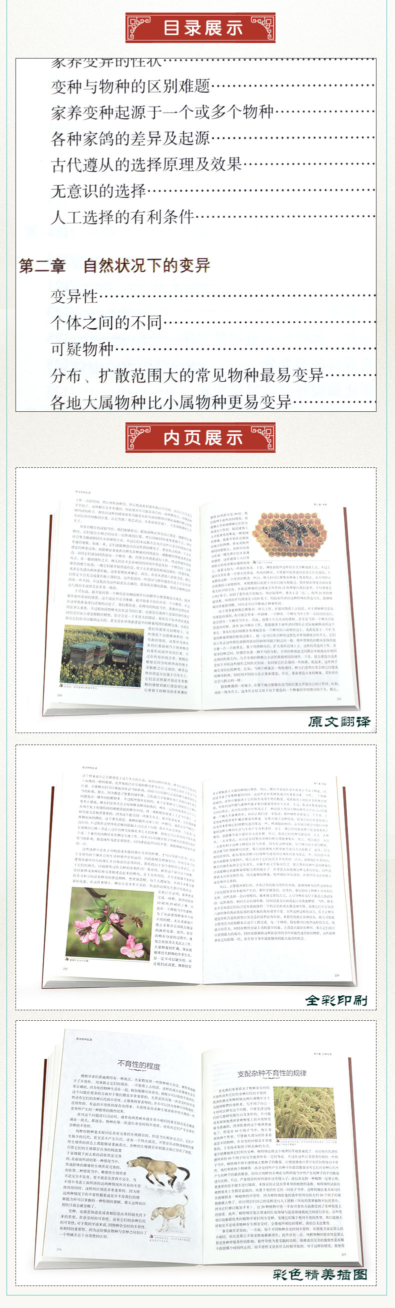 【正版好书包邮】时间简史 物种起源 世界通史（共3册） 科普读物书插图版  自然科学 未来宇宙 人类简史国学经典书籍