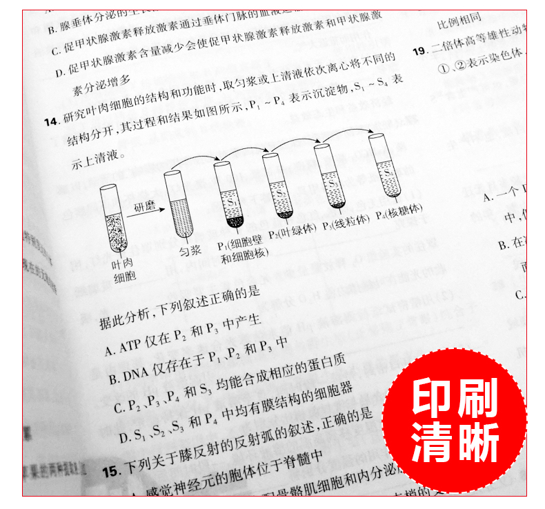 2021年高考必刷卷十年真题生物2011至2020生物全国卷历年真题高中高考生物10年真题高考真题试卷汇编新课标生物高考历年必刷真题