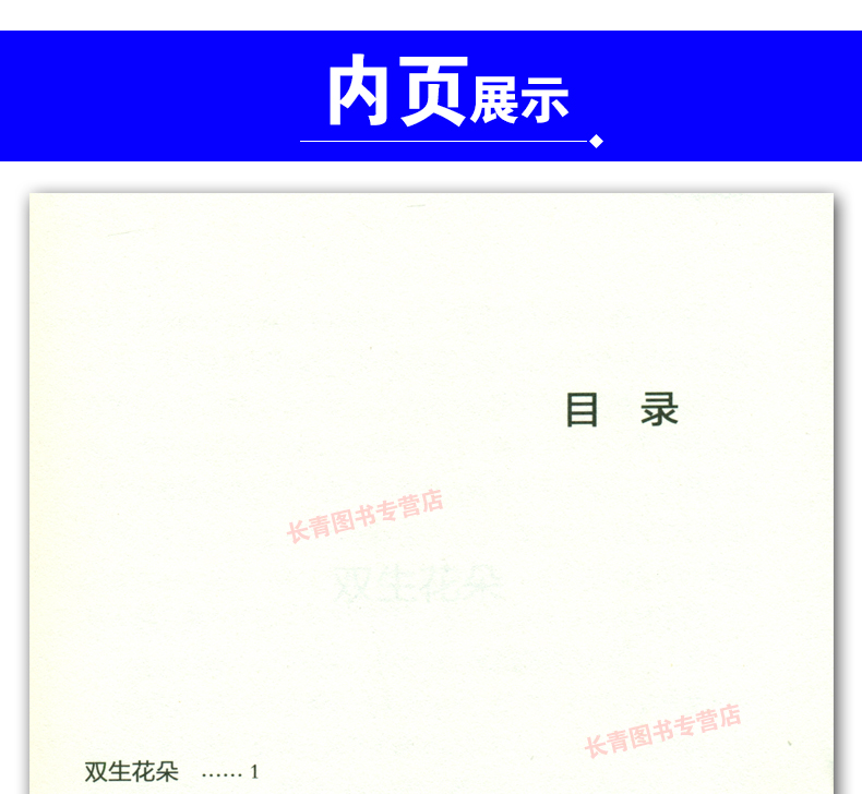 鸡汤卜卦家 王天宁著 初中生课外阅读书课外读物