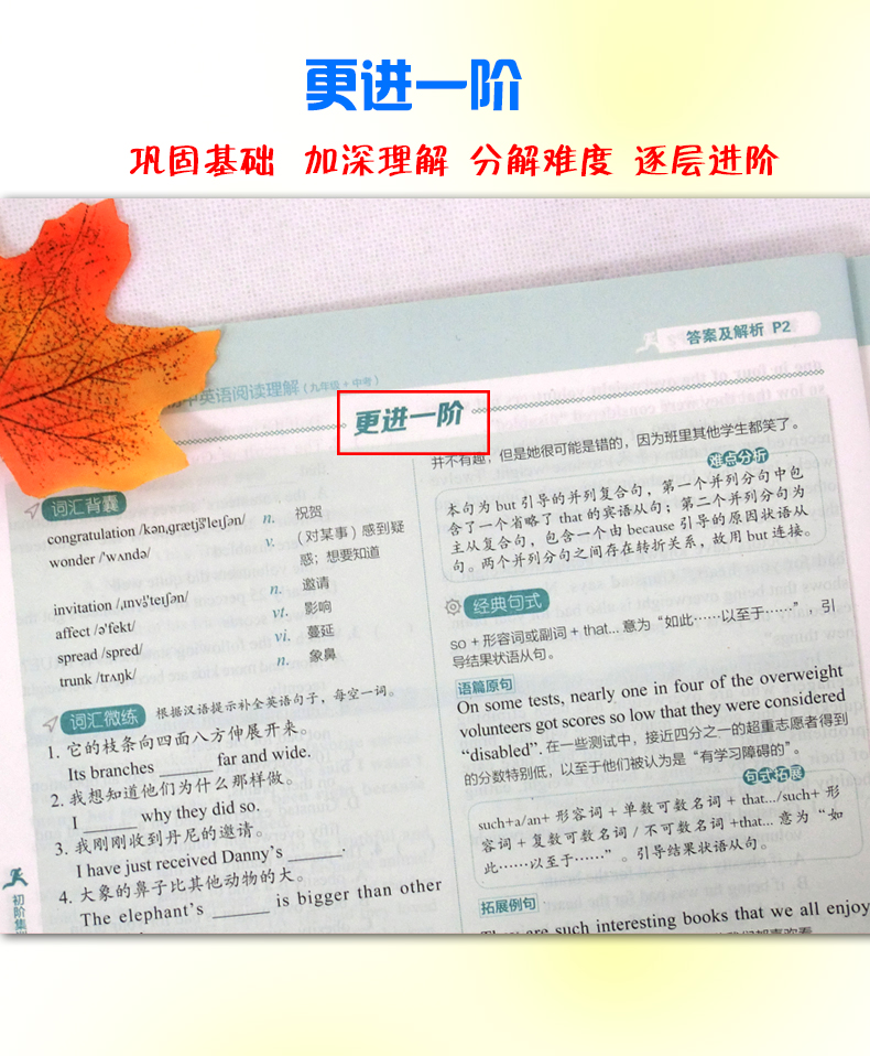 2020版进阶集训 初中英语九年级中考阅读理解 九年级中考英语阅读理解强化练习初中英语复习资料 初中9年级英语阅读理解练习题