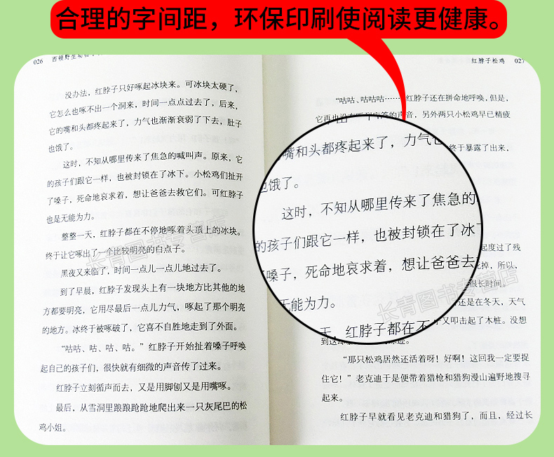红脖子松鸡 西顿野生动物故事集 小学生儿童版 小学生课外读物畅销书课外阅读书籍课外书课外读物 7-12岁儿童动物书动物小说
