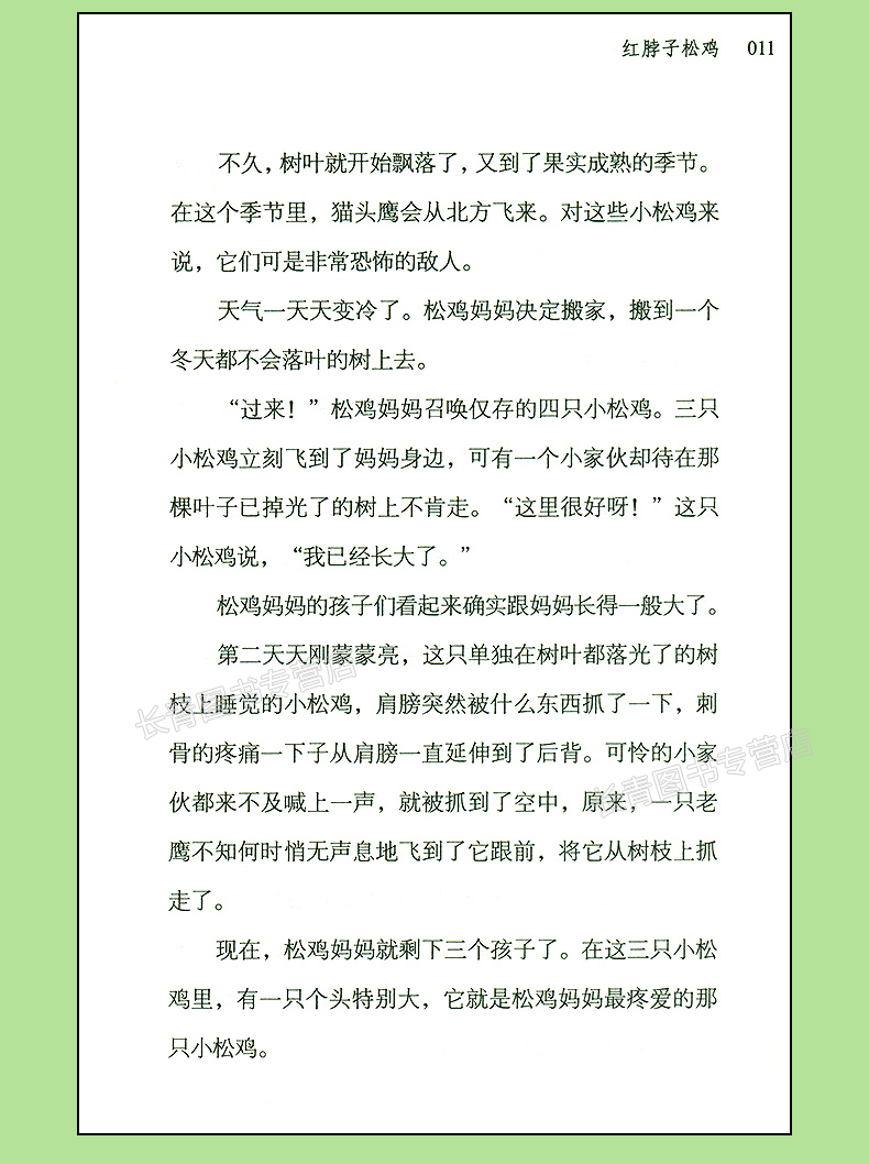 红脖子松鸡 西顿野生动物故事集 小学生儿童版 小学生课外读物畅销书课外阅读书籍课外书课外读物 7-12岁儿童动物书动物小说