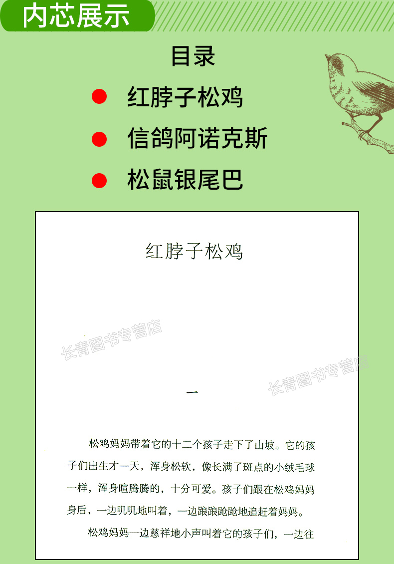 红脖子松鸡 西顿野生动物故事集 小学生儿童版 小学生课外读物畅销书课外阅读书籍课外书课外读物 7-12岁儿童动物书动物小说