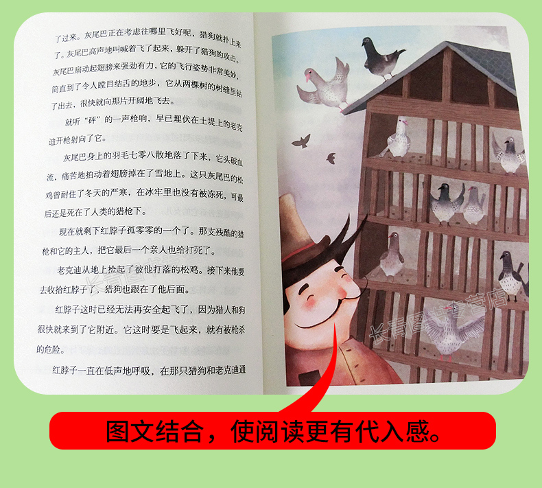 红脖子松鸡 西顿野生动物故事集 小学生儿童版 小学生课外读物畅销书课外阅读书籍课外书课外读物 7-12岁儿童动物书动物小说
