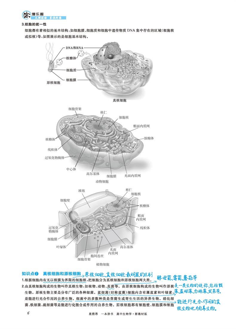 2021版一本涂书高中生物新高考新教材新高考版 高一高二高三高中辅导教辅书 高中生物学霸笔记状元手写笔记 高考一轮二轮复习资料