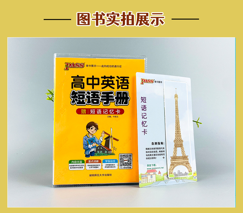 掌中宝PASS绿卡图书高中英语短语手册64K 高中英语小册子口袋书高一高二高三高考高中英语短语