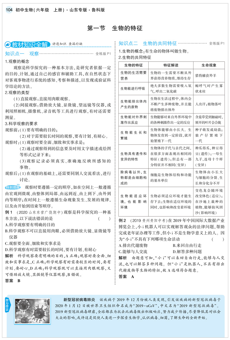 五四制2021版5年中考3年模拟六年级上生物鲁科版LK 五年中考三年模拟6年级生物 初一生物五三初中练习题五四制曲一线初中生物