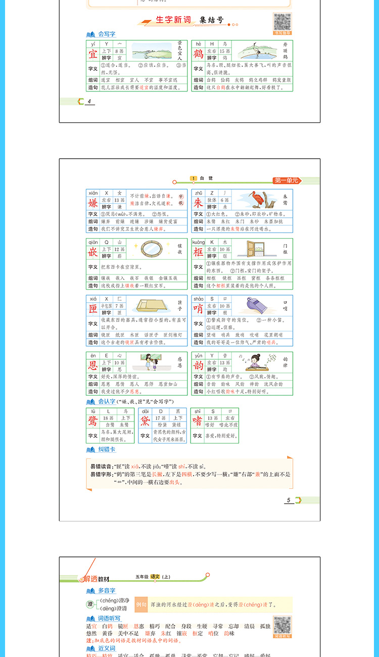 2020年小学解透教材五年级语文部编RJ版教材解读解析解析组词练习课时练习册课本原文5年级