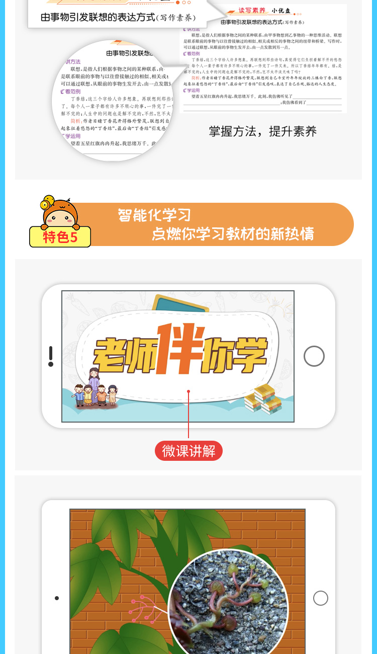 2020年小学解透教材五年级语文部编RJ版教材解读解析解析组词练习课时练习册课本原文5年级