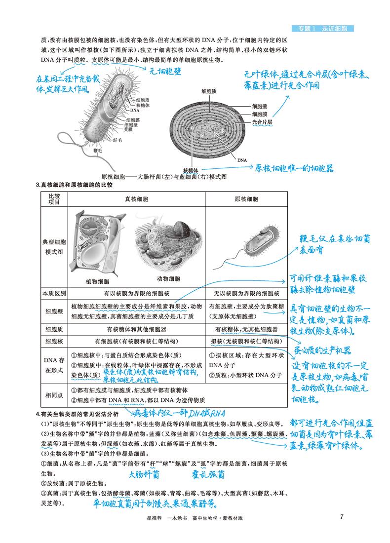 2021版一本涂书高中生物新高考新教材新高考版 高一高二高三高中辅导教辅书 高中生物学霸笔记状元手写笔记 高考一轮二轮复习资料