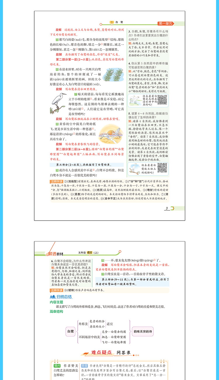 2020年小学解透教材五年级语文部编RJ版教材解读解析解析组词练习课时练习册课本原文5年级