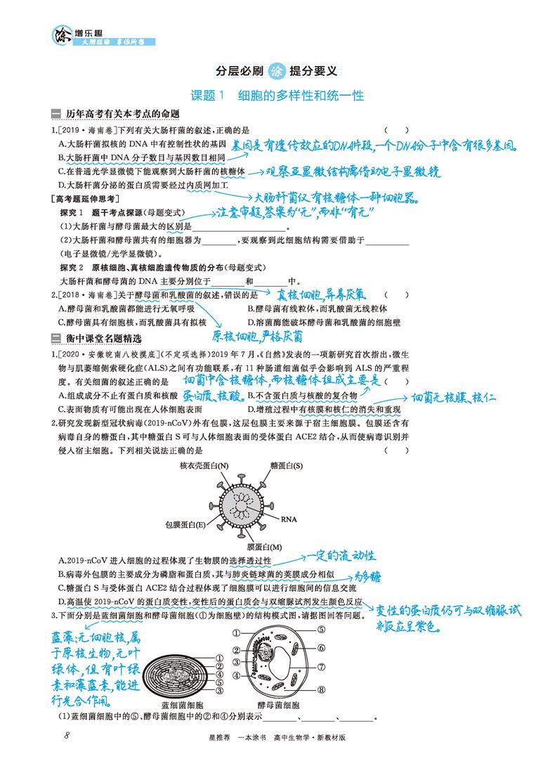 2021版一本涂书高中生物新高考新教材新高考版 高一高二高三高中辅导教辅书 高中生物学霸笔记状元手写笔记 高考一轮二轮复习资料