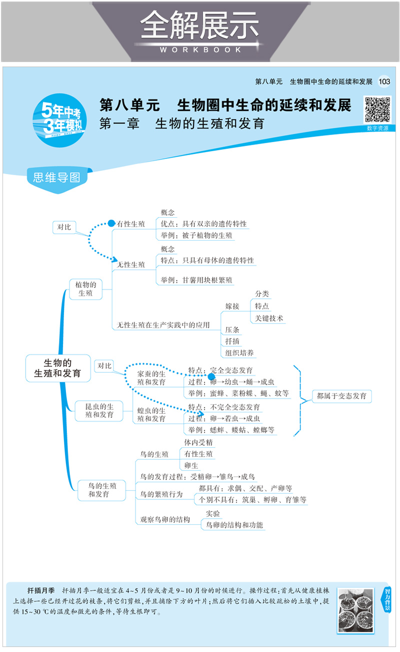 2021版五年中考三年模拟八年级生物下鲁科 5年中考3年模拟8初三下生物五四制鲁科山东专版五三中考生物同步练习