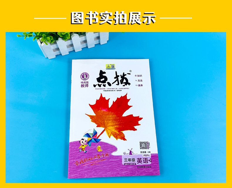 2021版 荣德基 特高级教师 点拨三年级下册英语 人教版 小学课本解析课文讲解教材资料课堂知识总复习详解训练解读辅导资料教辅书