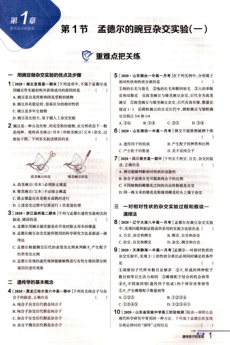 2021新版 把关题 高中生物学必修2 遗传与进化 人教版RJ 配套新教材 薛金星高一生物必修第二册教材练习册同步训练讲解