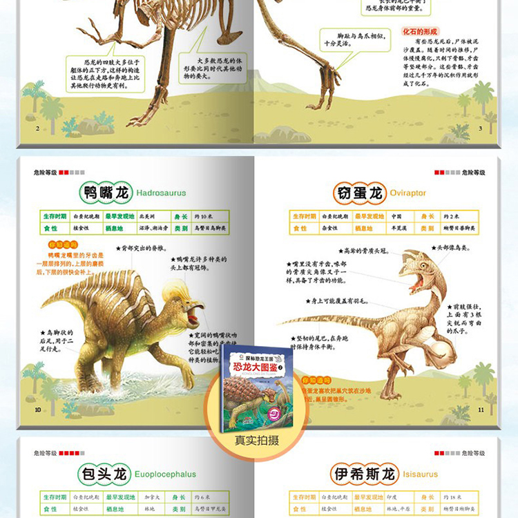 探秘恐龙王国（套装8册）彩图注音版恐龙百科全书 小学生课外读物科普书