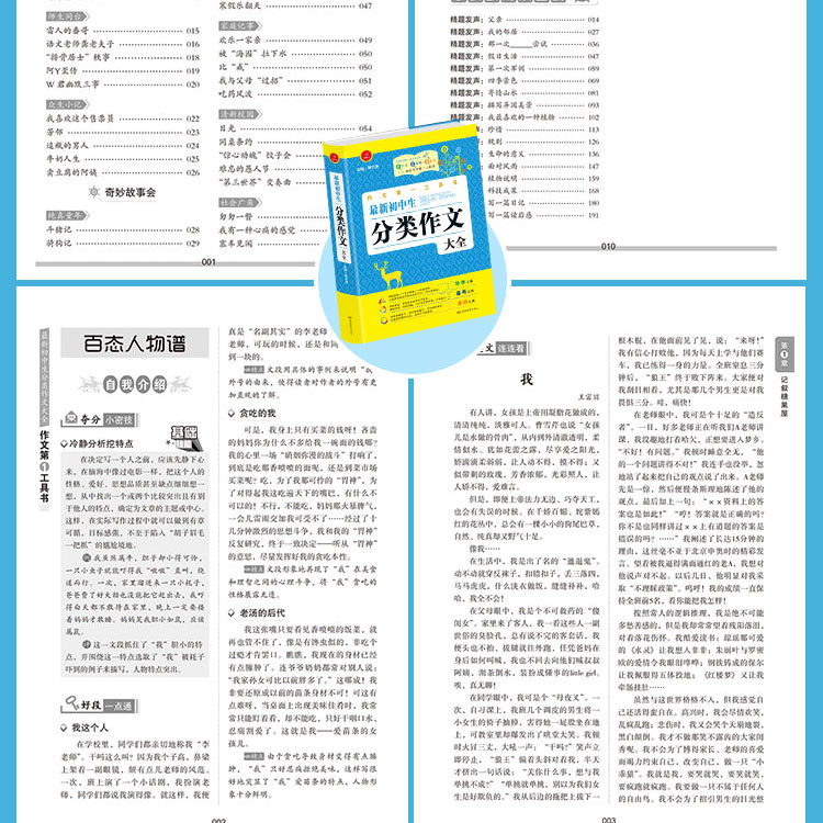 初中生中考满分作文第一工具书(共4本）