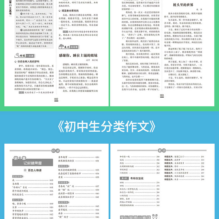 初中生中考满分作文第一工具书(共4本）