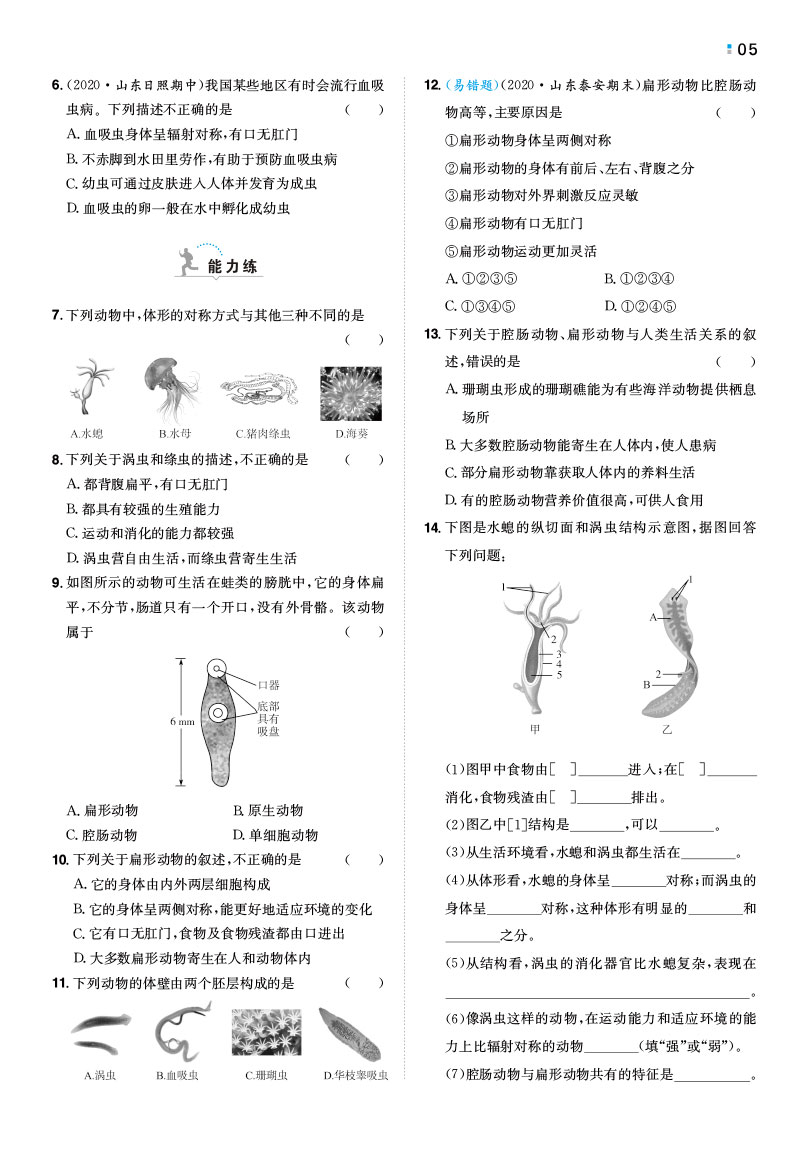 一本初中生物八年级同步训练上册 RJ人教版