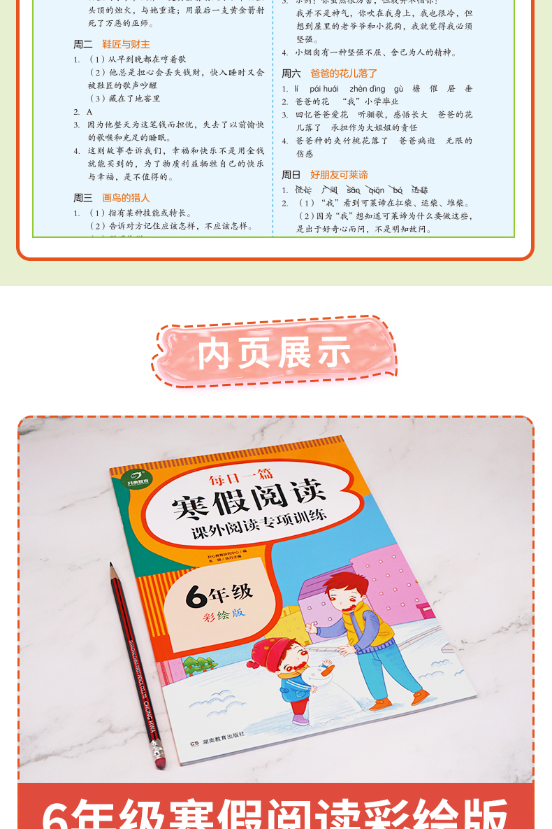 2021新版小学六年级寒假阅读课外阅读理解专项训练书人教版