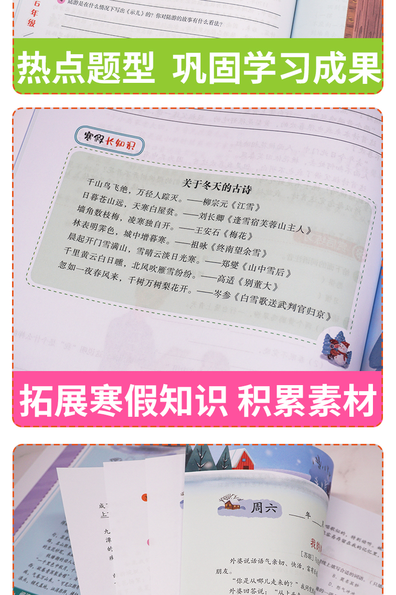 2021新版小学六年级寒假阅读课外阅读理解专项训练书人教版