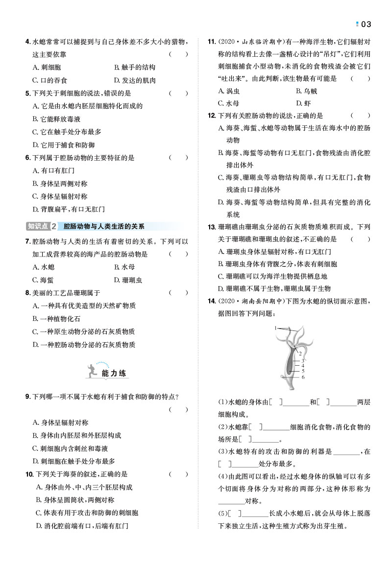 一本初中生物八年级同步训练上册 RJ人教版