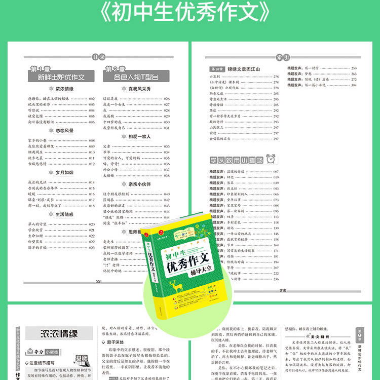 初中生中考满分作文第一工具书(共4本）