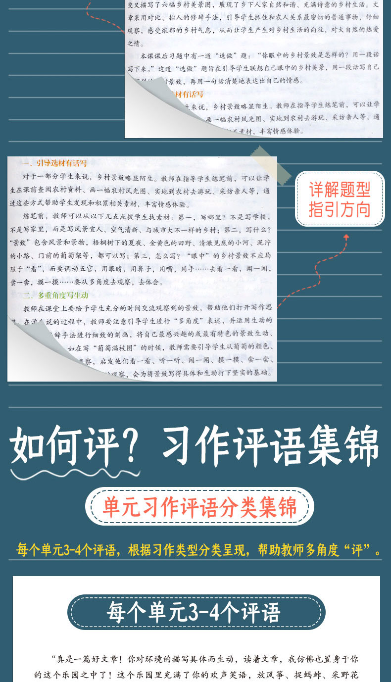 开心同步作文特级教案