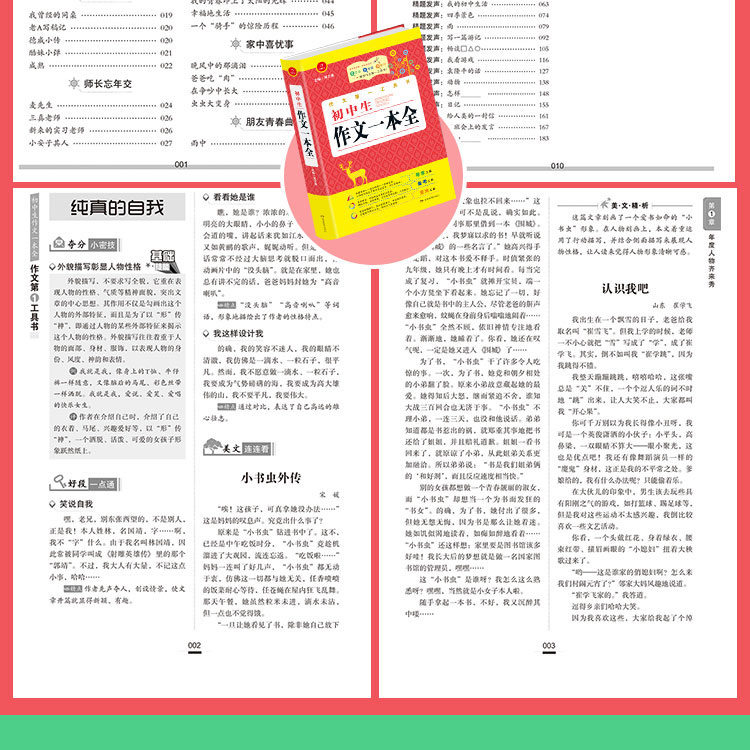 初中生中考满分作文第一工具书(共4本）