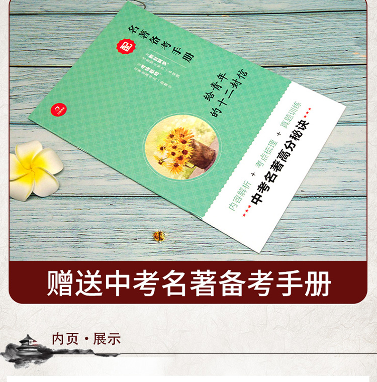 给青年的十二封信 青少版原著无删减（赠名著备考手册）