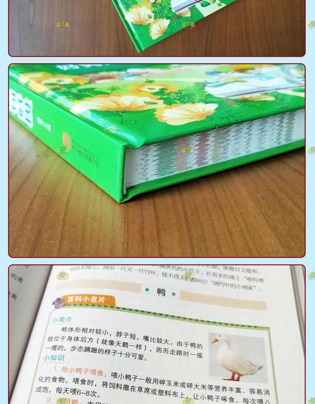 作文大全小学三四五六年级同步阅读写作优秀分类获奖满分作文书好词好句好段全册老师推荐小学生作文大全小学通用课外读物书籍