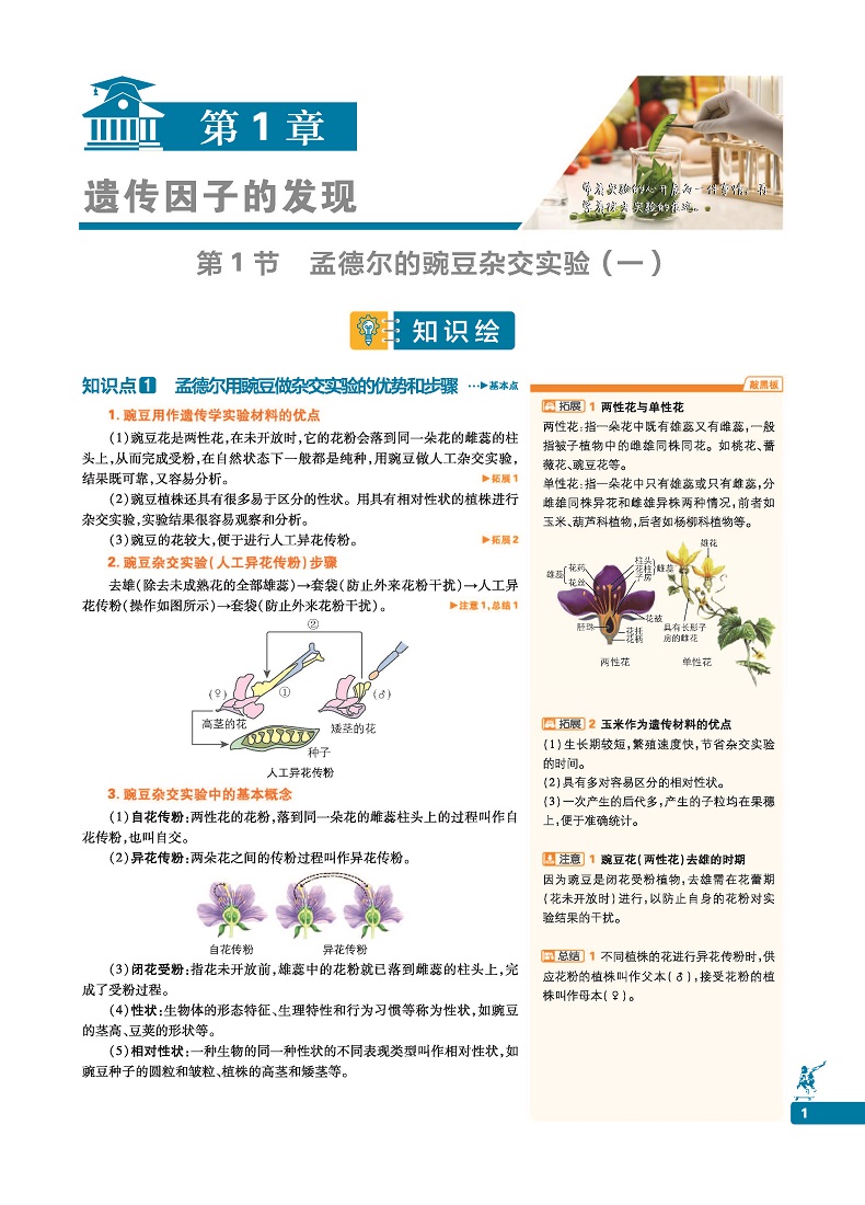 官方正版 2021新教材划重点生物必修二2人教版RJ 新教材高中生物学必修2遗传与进化 高一教材全套下册生物第二册同步教辅导资料书