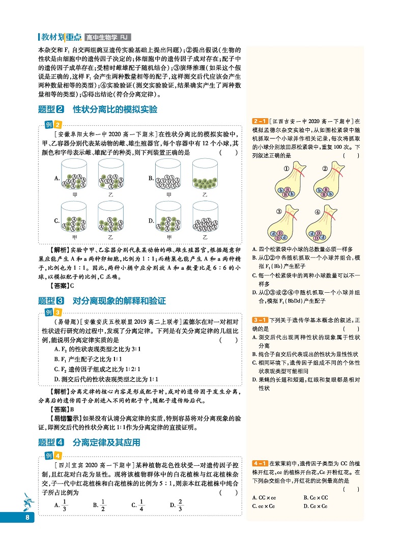 官方正版 2021新教材划重点生物必修二2人教版RJ 新教材高中生物学必修2遗传与进化 高一教材全套下册生物第二册同步教辅导资料书