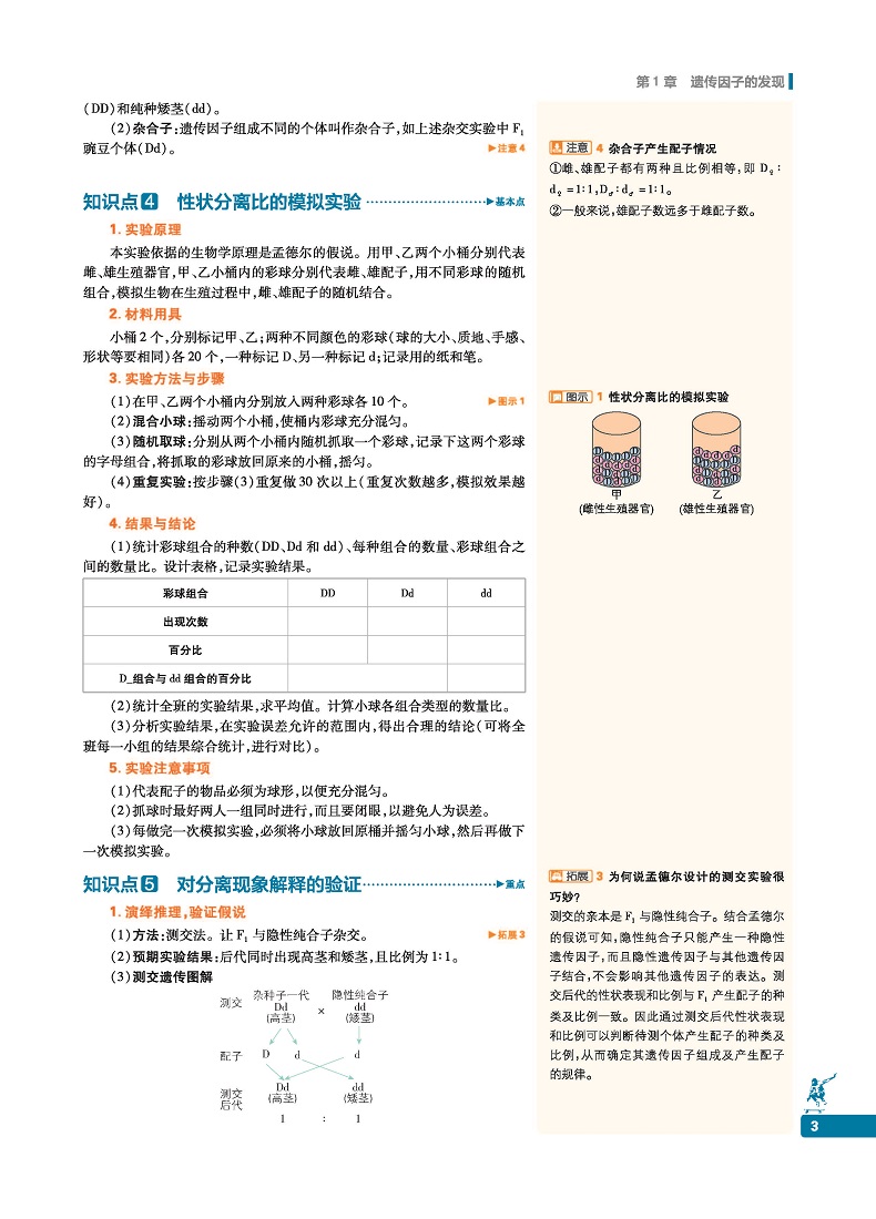 官方正版 2021新教材划重点生物必修二2人教版RJ 新教材高中生物学必修2遗传与进化 高一教材全套下册生物第二册同步教辅导资料书