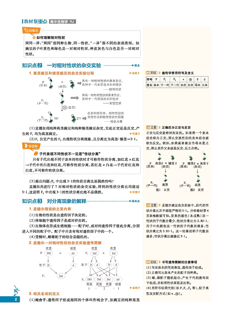 官方正版 2021新教材划重点生物必修二2人教版RJ 新教材高中生物学必修2遗传与进化 高一教材全套下册生物第二册同步教辅导资料书