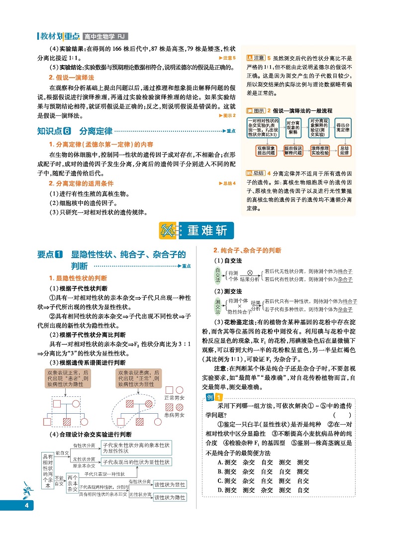 官方正版 2021新教材划重点生物必修二2人教版RJ 新教材高中生物学必修2遗传与进化 高一教材全套下册生物第二册同步教辅导资料书
