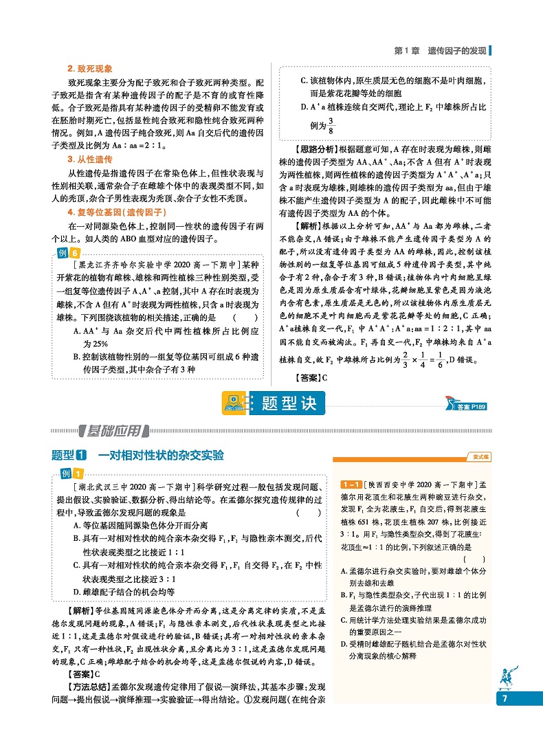官方正版 2021新教材划重点生物必修二2人教版RJ 新教材高中生物学必修2遗传与进化 高一教材全套下册生物第二册同步教辅导资料书