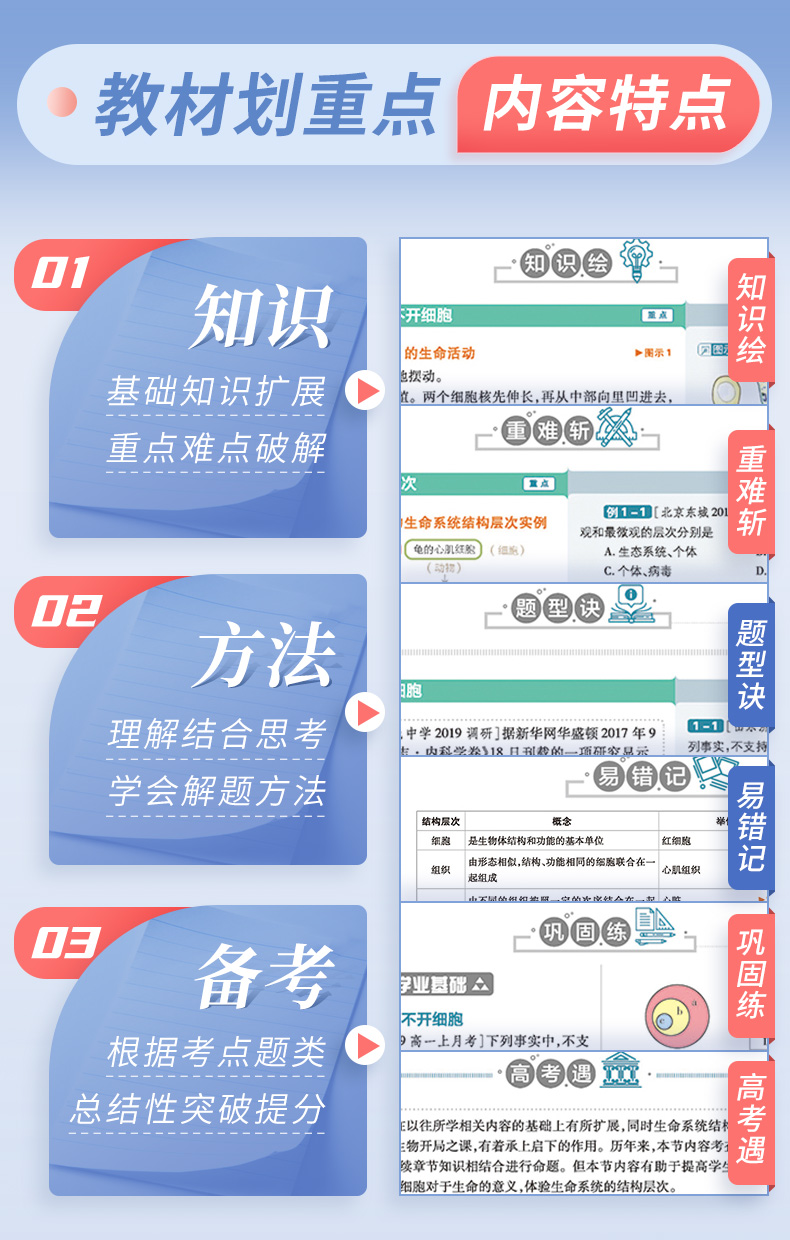 官方正版 2021新教材划重点生物必修二2人教版RJ 新教材高中生物学必修2遗传与进化 高一教材全套下册生物第二册同步教辅导资料书