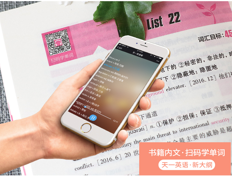 【天一小清新】大学英语四级真词汇cet4考试 四级英语词汇单词书新大纲英语四级考试新版词汇四级考试 英语四级词汇手册 小本