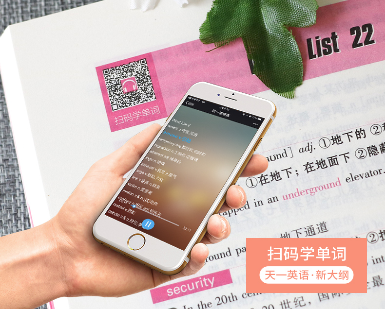 【天一小清新】大学英语四级真词汇cet4考试 四级英语词汇单词书新大纲英语四级考试新版词汇四级考试 英语四级词汇手册 小本