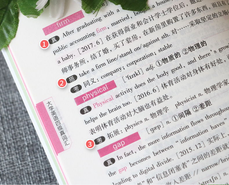 【天一小清新】大学英语四级真词汇cet4考试 四级英语词汇单词书新大纲英语四级考试新版词汇四级考试 英语四级词汇手册 小本