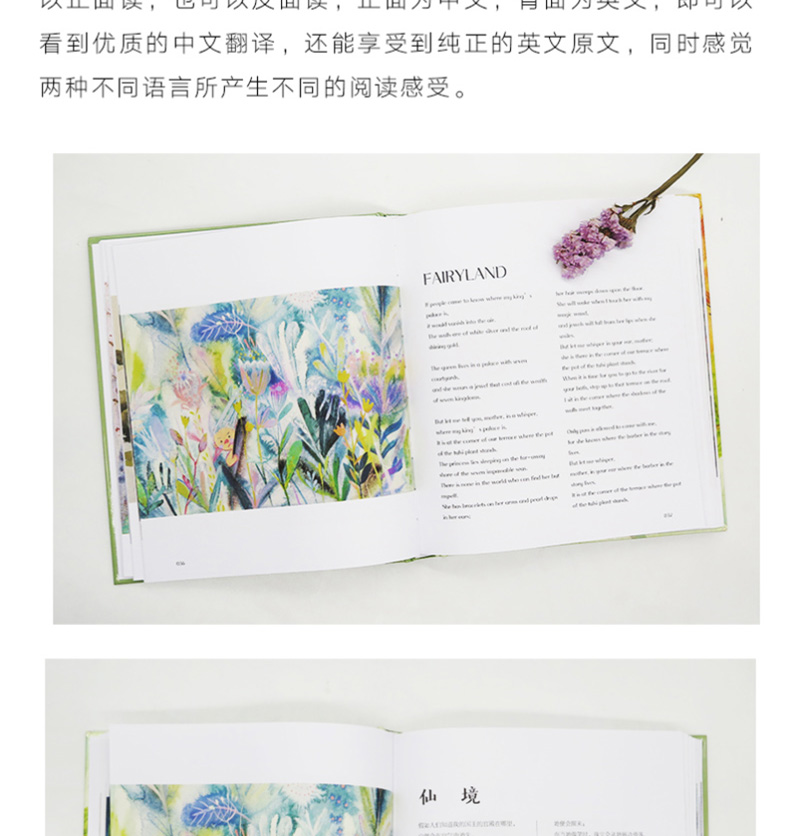 泰戈尔写给孩子的诗双语版  儿童诗歌朗诵书 英汉对照 双语读物 小学 儿童文学名家经典书系 诗歌书籍 儿童 小学 w0810