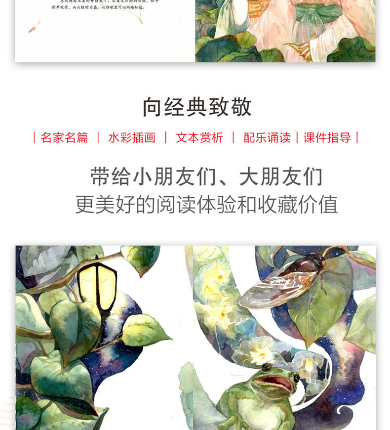 荷塘月色 初中生课外阅读必读书籍 初中语文基础知识书籍 初中语文阅读能力提升 初中老师推荐课外阅读书籍朱自清作河南大学出版社